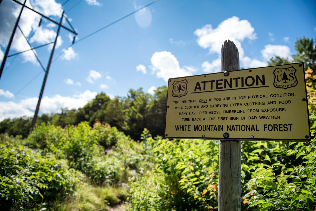 Entrance to the Airline Trail, Appalachian Mountains