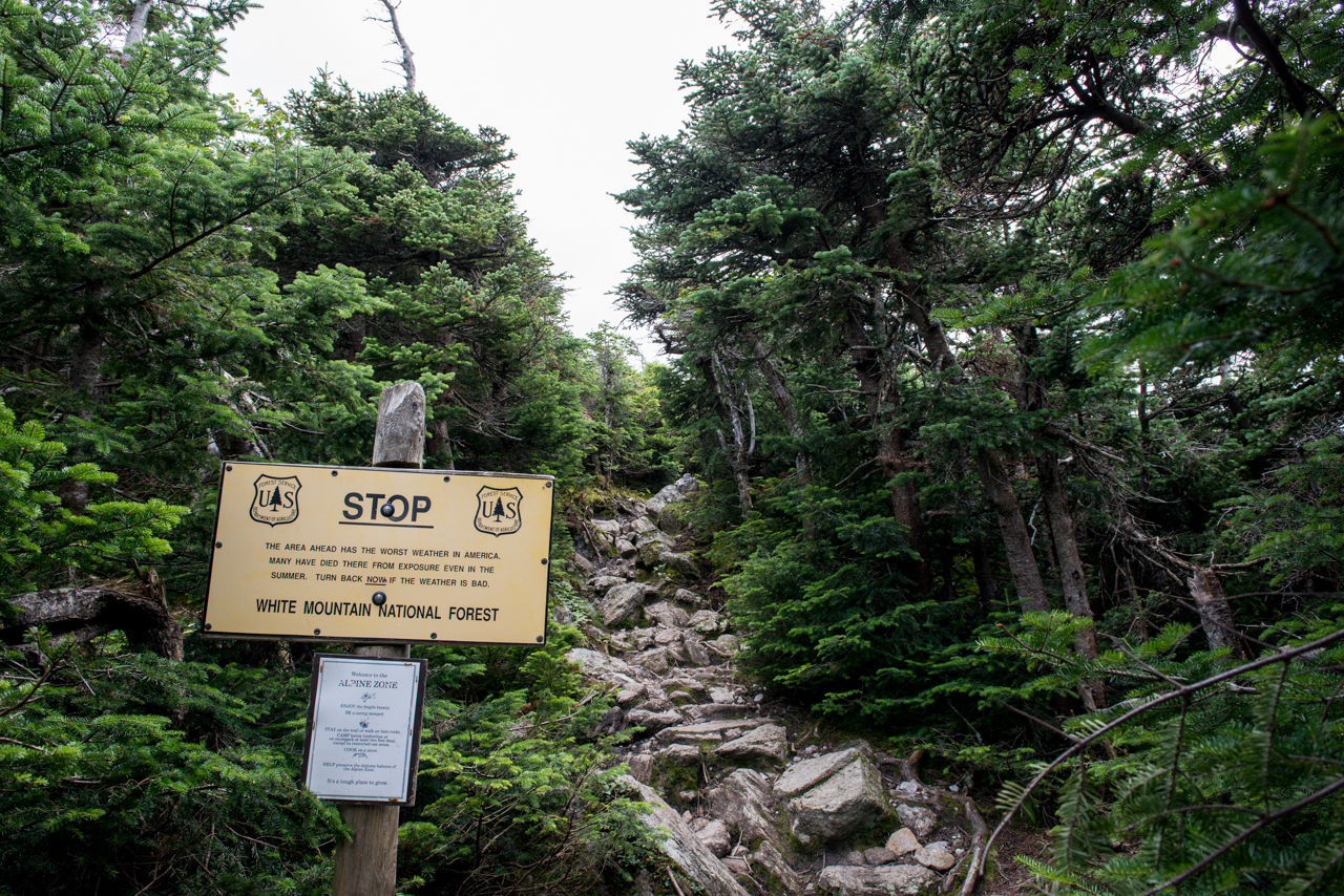 Warning sign upon entering the Alpine Zone