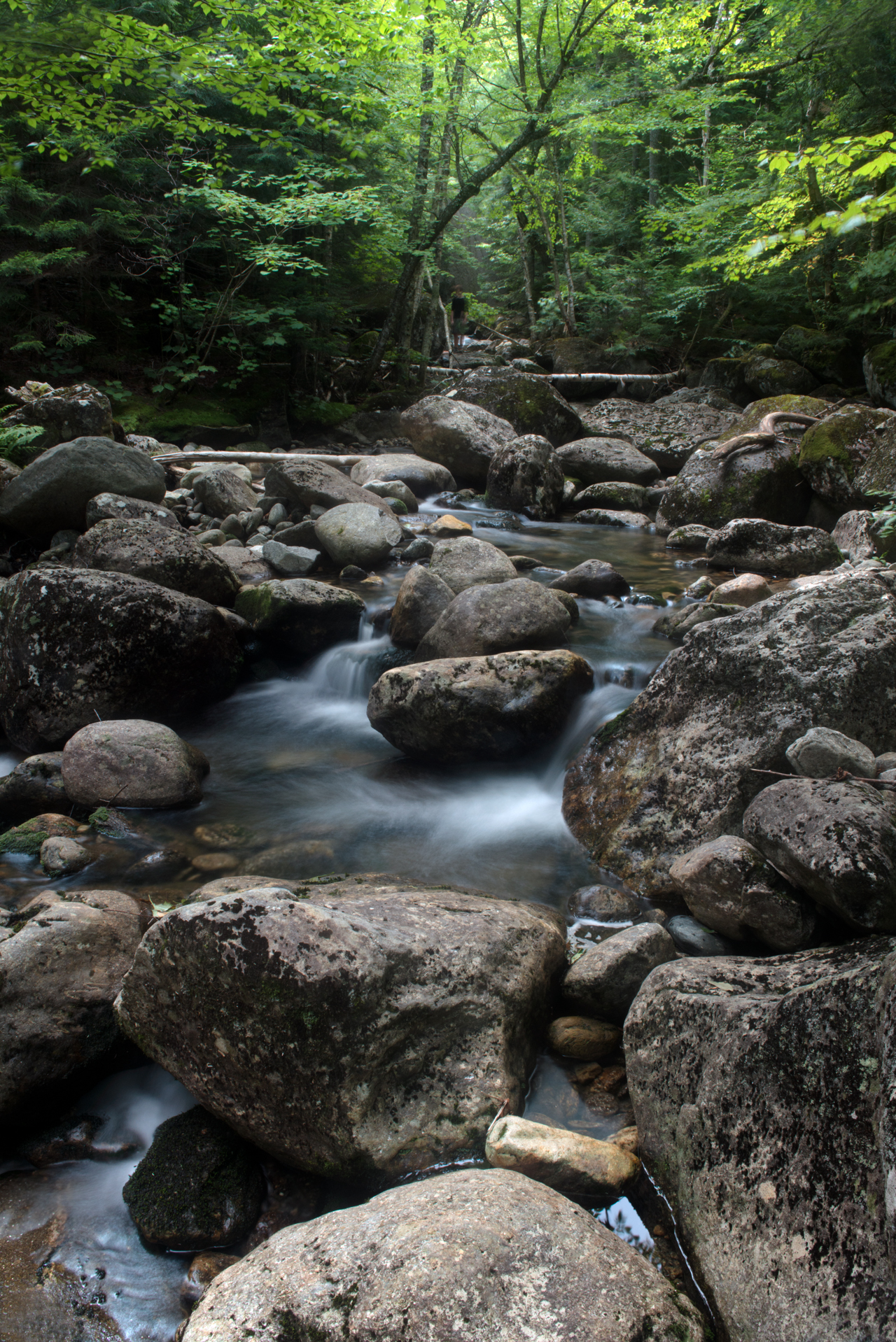 Valley Way Trail