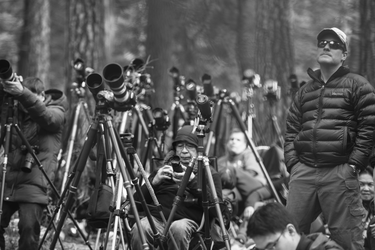 Yosemite Firefall Photgraphers Preparing