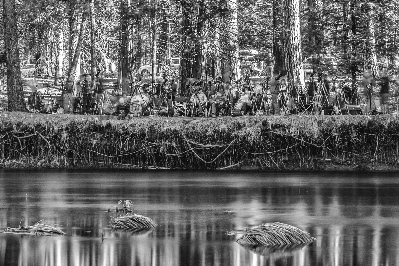 Yosemite Firefall Photographers